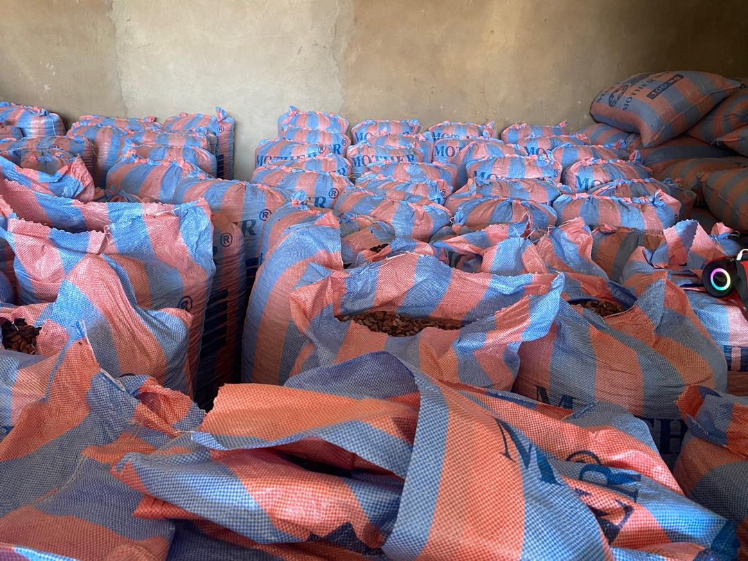 Stockage professionnel de cacao
